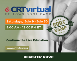CRTvirtual Fellows Boot Camp